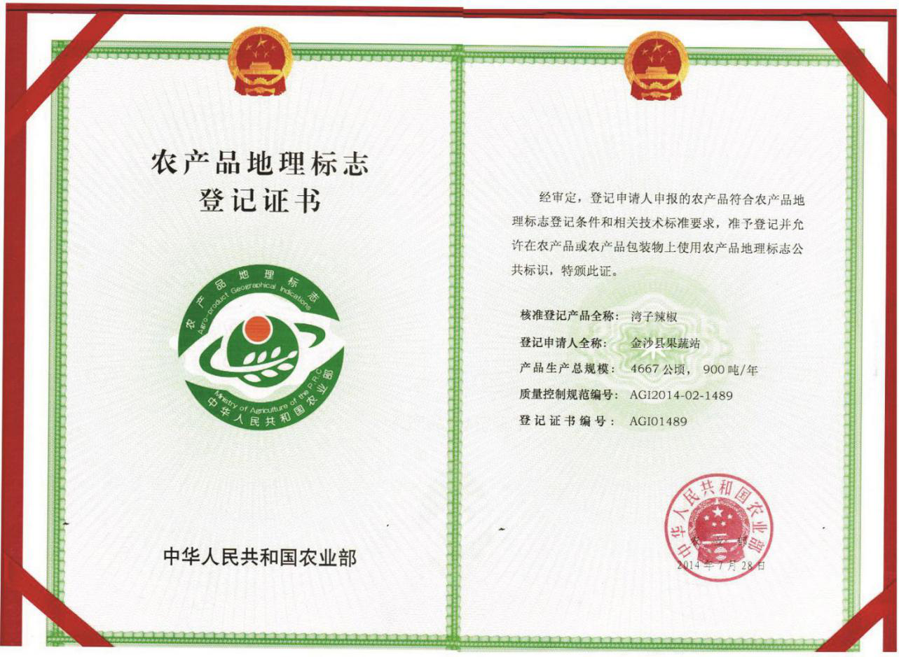 企业资质
